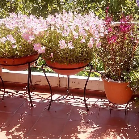 Cozy Maisonette Daire *