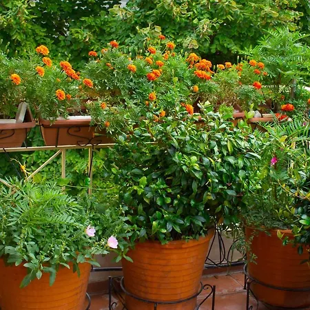 Cozy Maisonette Kamena Vourla