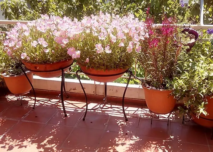 Cozy Maisonette Apartament *